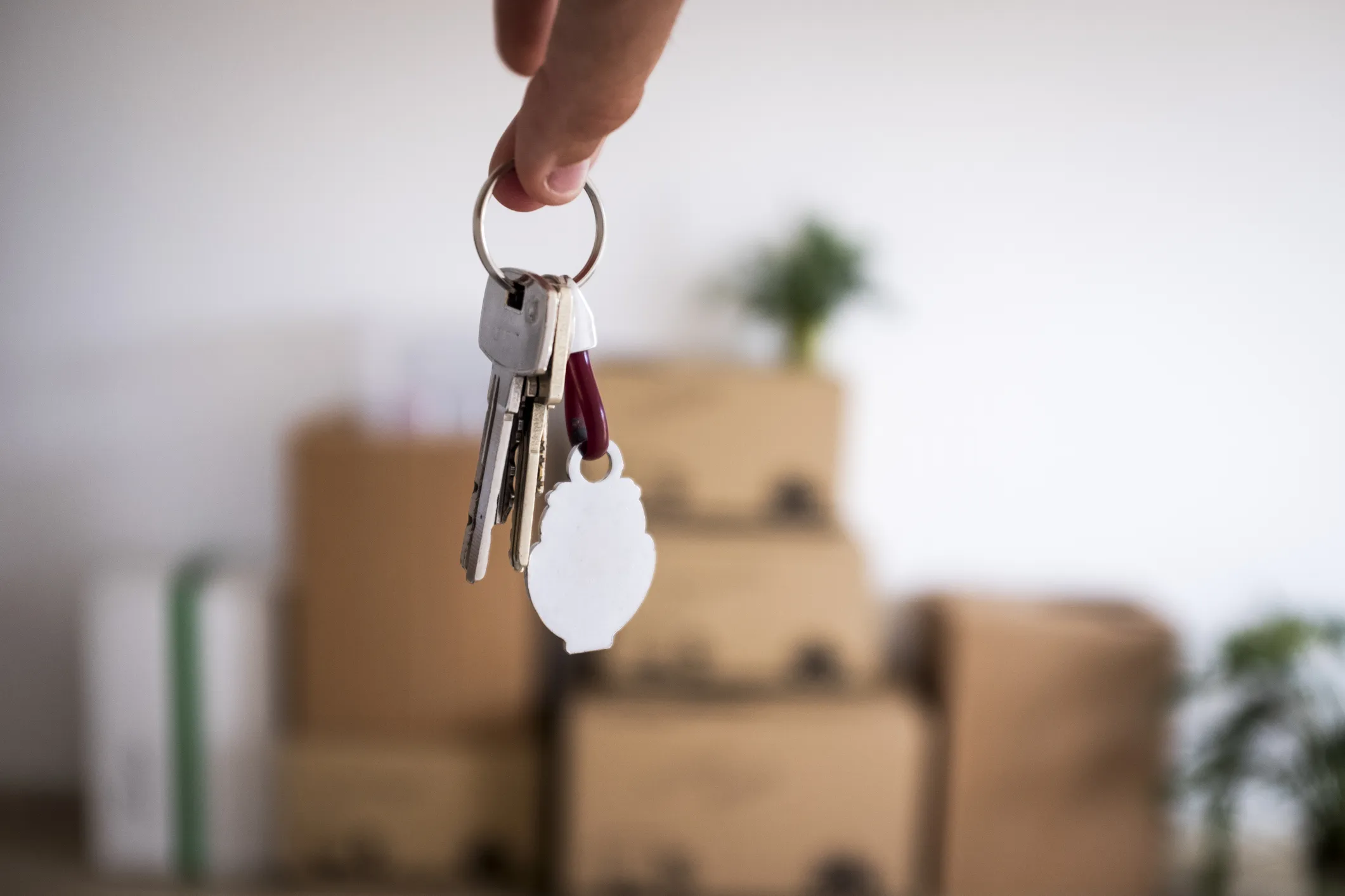 redas logistics - umzugsunternehmen